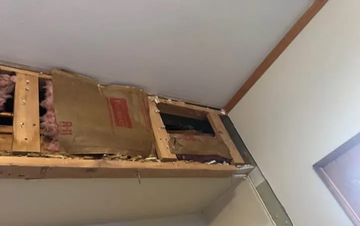 The same ceiling from below, cut back to solid edges